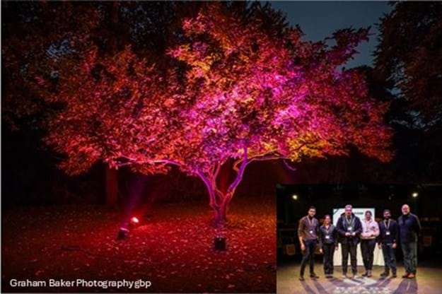 SLL Ready Steady Light 2024 Peer Award – Team DPA Lighting Consultants 1 – Heart of the Forest.