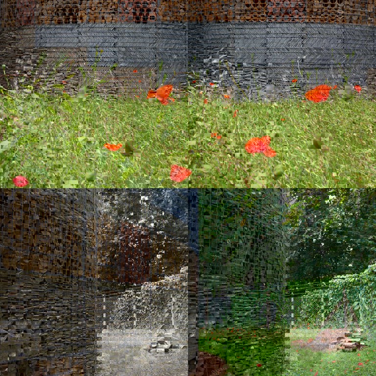 Spotlight Façade Awards: Barn Elms Ecological Kiosk